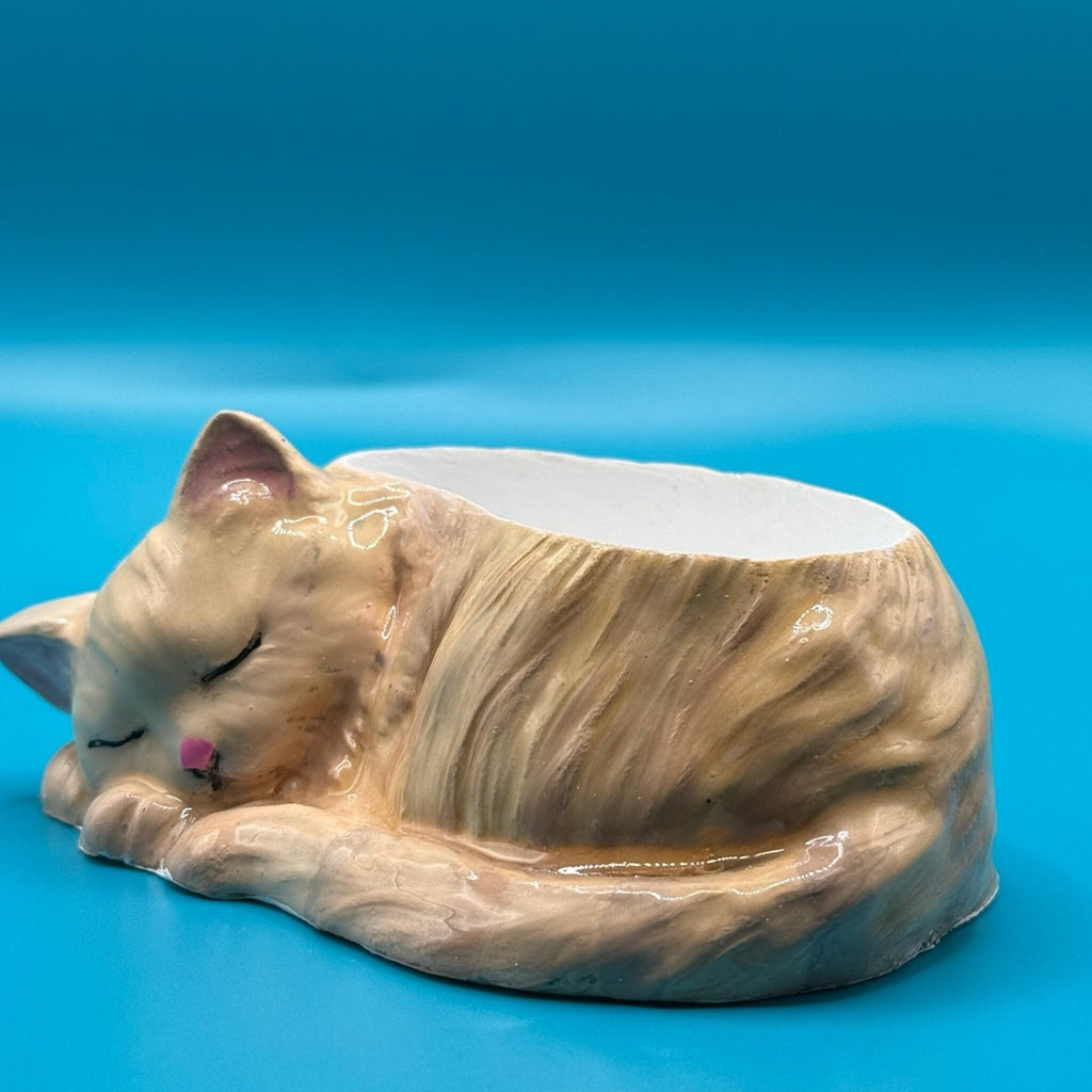 🐱 Sleeping Cat Planter - Customized