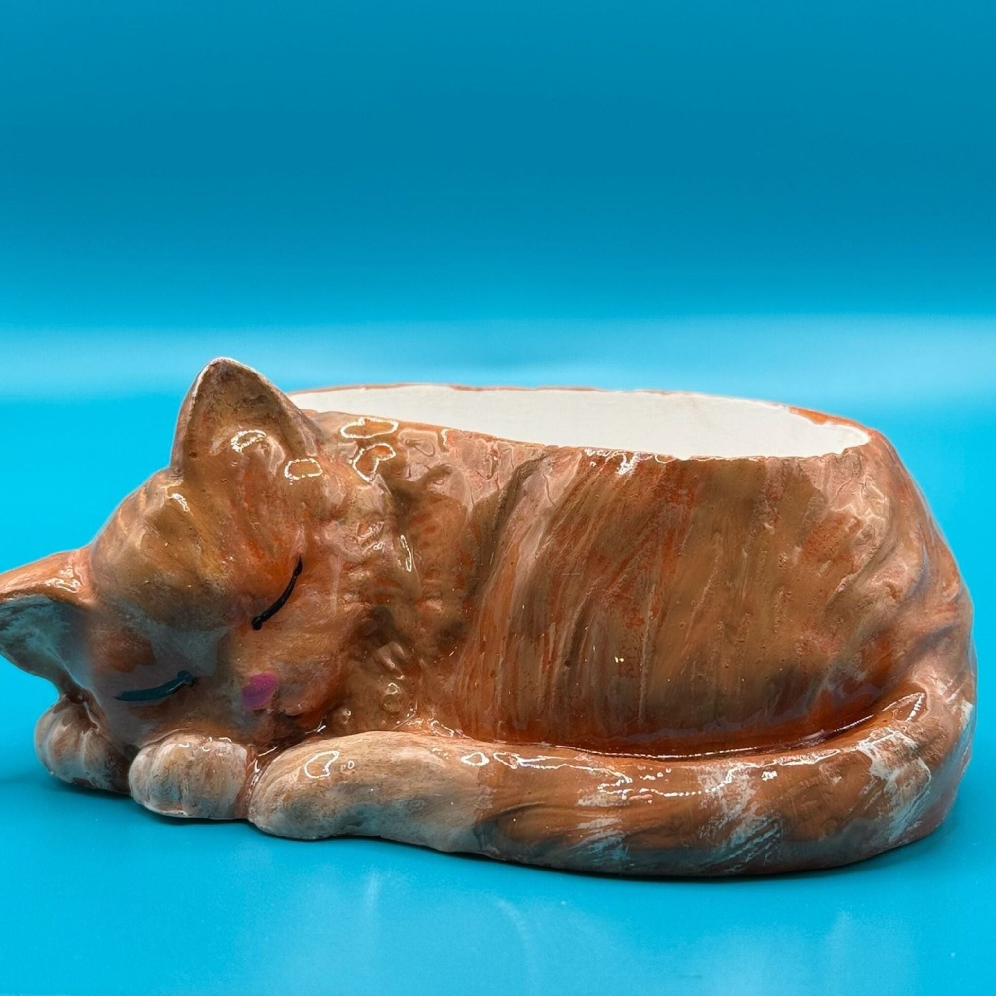 🐱 Sleeping Cat Planter - Customized